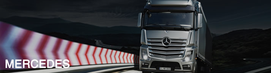 Stainless Steel Accessories for MERCEDES Trucks: Customize Your Vehicle with Italian Quality!