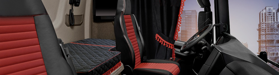 Various accessories for your truck: style, functionality and comfort!